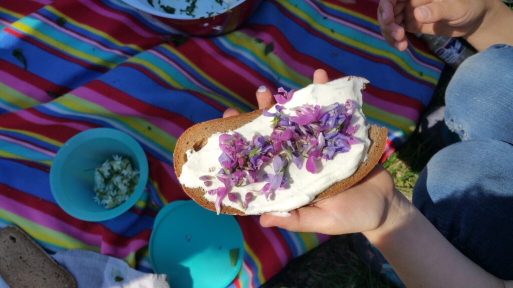 Eine Kinderhand hält ein mit Frischkäse bestrichenes Brot, das mit violetten Blüten garniert ist, über einer bunten Picknickdecke.
